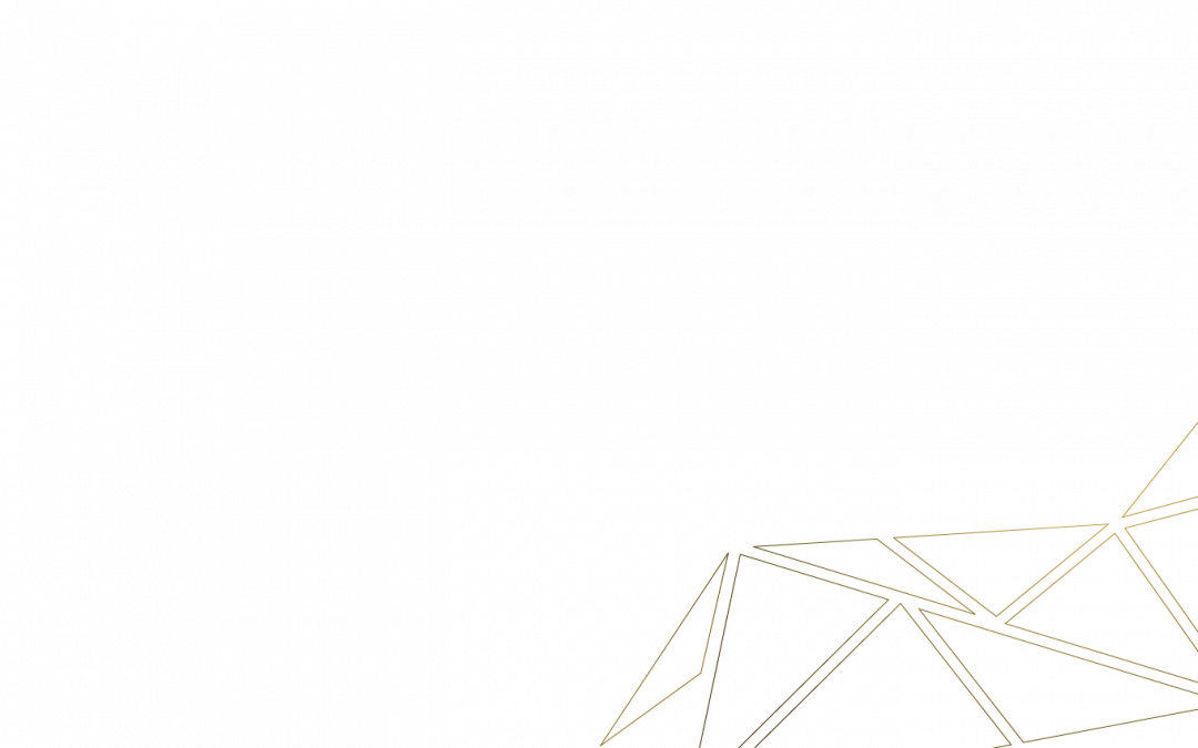 grafik_polygon-7_nur-rechts_klein